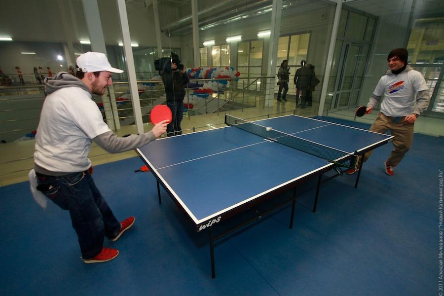 "Лось Маша и прочая законная агитация": фоторепортаж "Нового Калининграда.Ru"